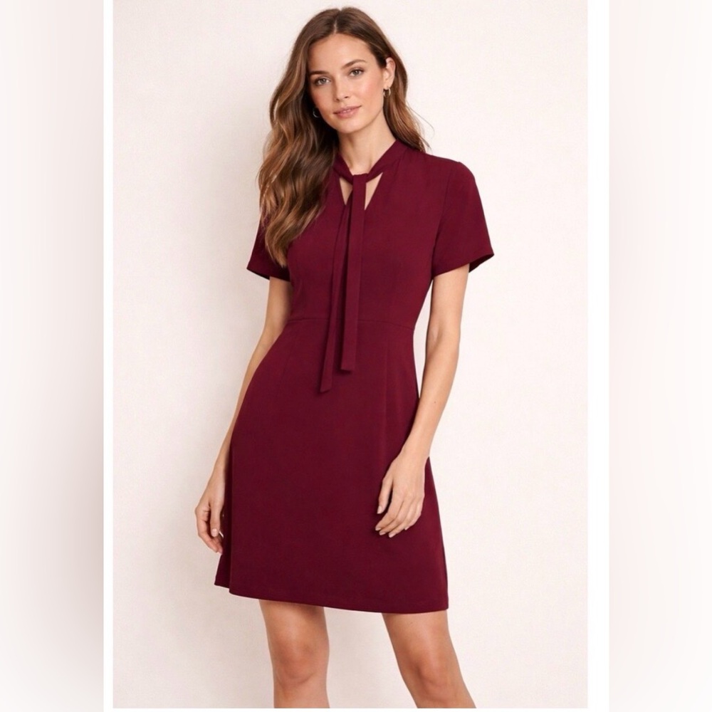 Theory Burgundy Tie-Neck Mini Dress